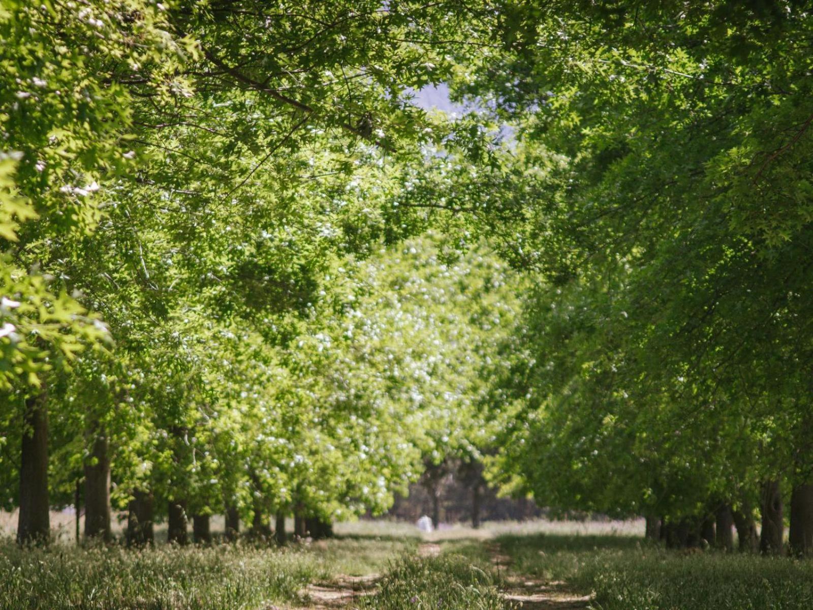 Hotel Duikersdrift Winelands Country Escape Tulbagh Zewnętrze zdjęcie