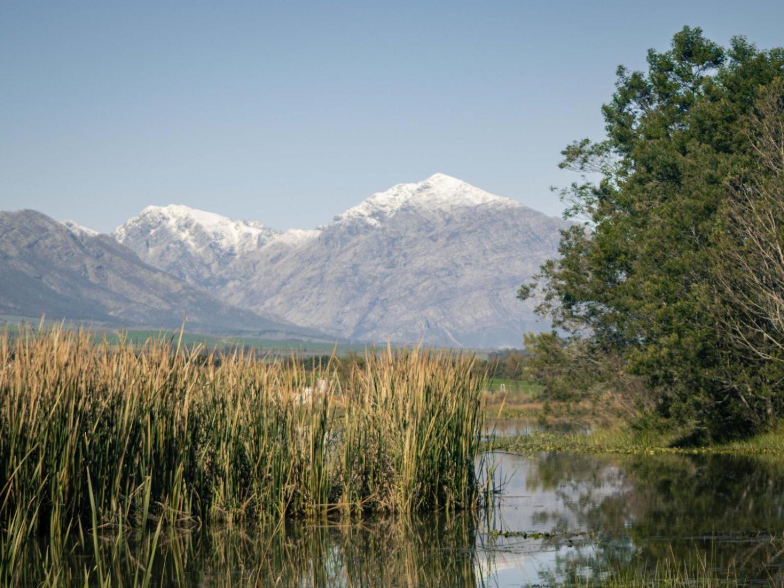 Hotel Duikersdrift Winelands Country Escape Tulbagh Zewnętrze zdjęcie
