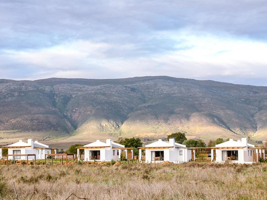 Hotel Duikersdrift Winelands Country Escape Tulbagh Zewnętrze zdjęcie
