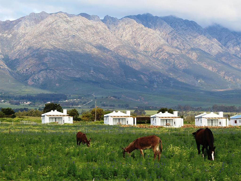 Hotel Duikersdrift Winelands Country Escape Tulbagh Zewnętrze zdjęcie